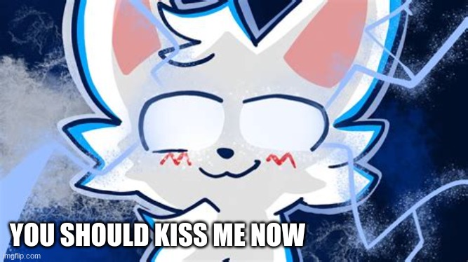 boykisser meme | YOU SHOULD KISS ME NOW | image tagged in boykisser meme | made w/ Imgflip meme maker