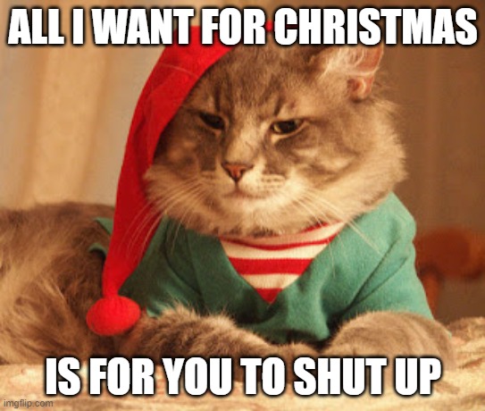Tis the season to stay inside | ALL I WANT FOR CHRISTMAS; IS FOR YOU TO SHUT UP | image tagged in all i want for christmas | made w/ Imgflip meme maker
