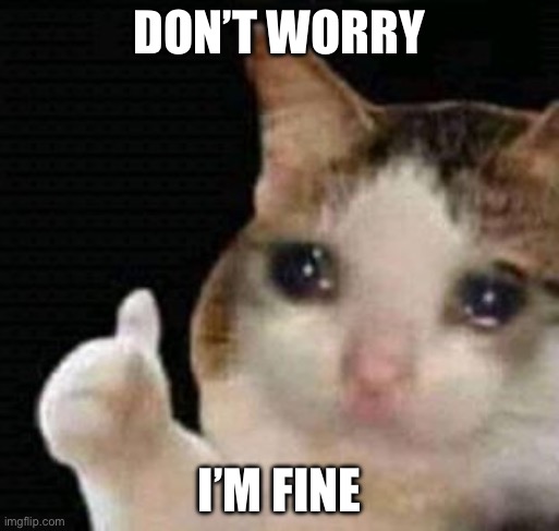 I’m totally fine | DON’T WORRY; I’M FINE | image tagged in sad thumbs up cat | made w/ Imgflip meme maker