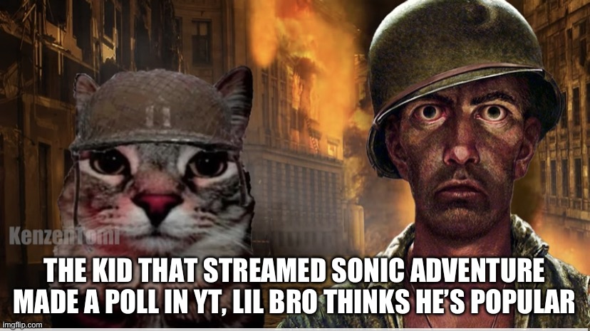 Thousand yard stares | THE KID THAT STREAMED SONIC ADVENTURE MADE A POLL IN YT, LIL BRO THINKS HE’S POPULAR | image tagged in thousand yard stares | made w/ Imgflip meme maker