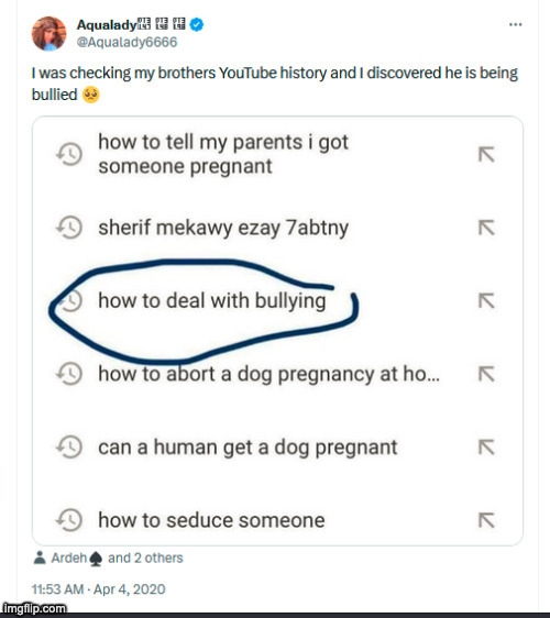 brother's search history | image tagged in brother's search history | made w/ Imgflip meme maker
