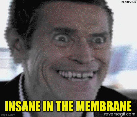 Willem Dafoe Insanity | INSANE IN THE MEMBRANE | image tagged in willem dafoe insanity | made w/ Imgflip meme maker