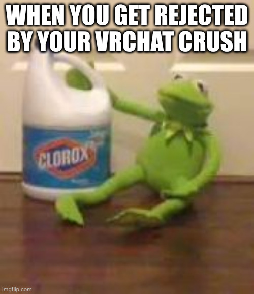 Nobody: VRChat | WHEN YOU GET REJECTED BY YOUR VRCHAT CRUSH | image tagged in kermit bleach,vr,vrchat,crush,dark humor,bleach | made w/ Imgflip meme maker