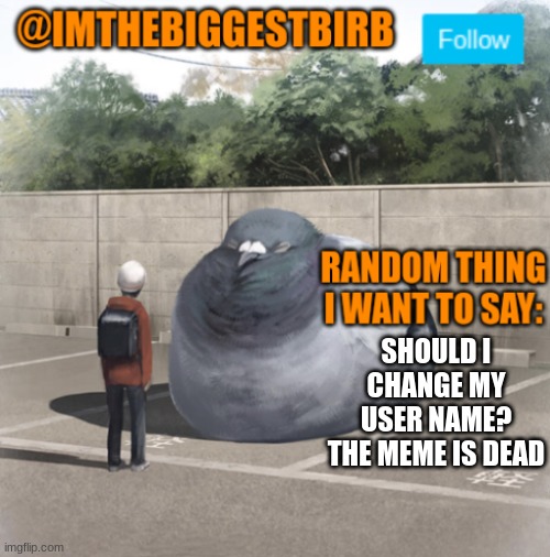 comment suggestions, dont be stupid | SHOULD I CHANGE MY USER NAME? THE MEME IS DEAD | image tagged in biggestbirb announcement template | made w/ Imgflip meme maker