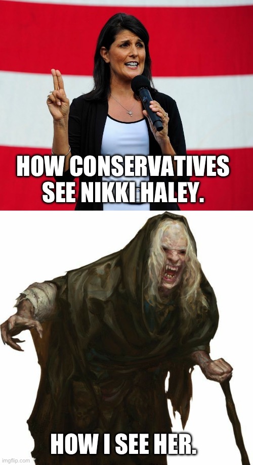 HOW CONSERVATIVES SEE NIKKI HALEY. HOW I SEE HER. | image tagged in nikki haley,old woman vampire | made w/ Imgflip meme maker