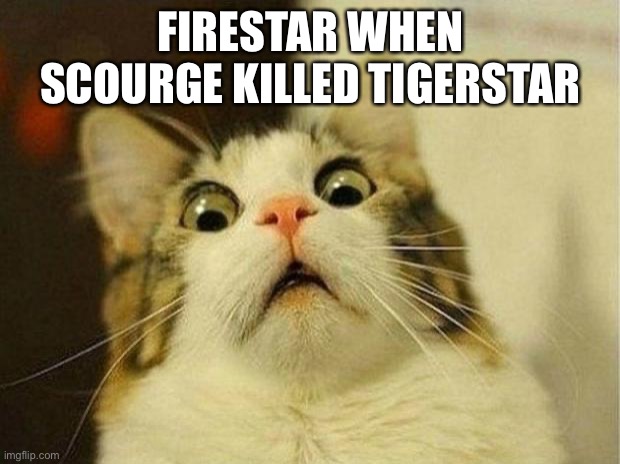 Scared Cat | FIRESTAR WHEN SCOURGE KILLED TIGERSTAR | image tagged in memes,scared cat,warriors | made w/ Imgflip meme maker