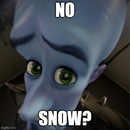 Florida be like | NO; SNOW? | image tagged in megamind peeking,megamind no bitches,snow,no bitches | made w/ Imgflip meme maker
