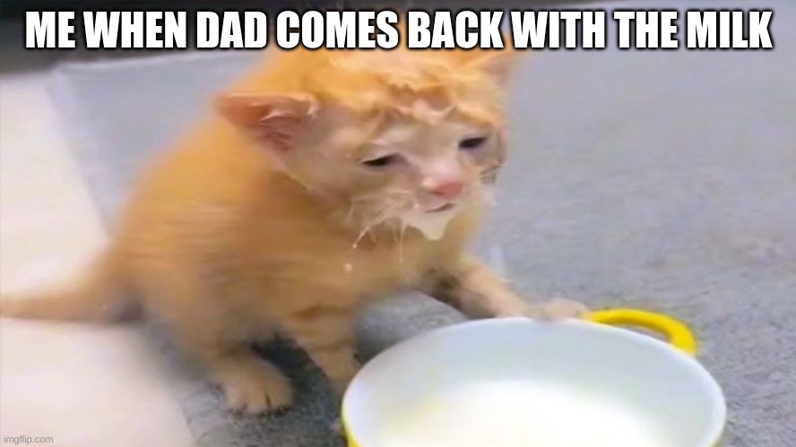 milk | ME WHEN DAD COMES BACK WITH THE MILK | image tagged in milk | made w/ Imgflip meme maker