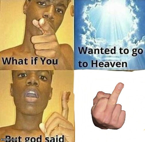 What if you wanted to go to Heaven | image tagged in what if you wanted to go to heaven | made w/ Imgflip meme maker