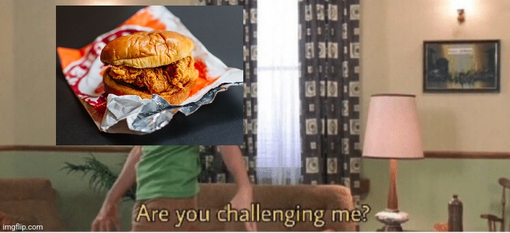 are you challenging me | image tagged in are you challenging me | made w/ Imgflip meme maker
