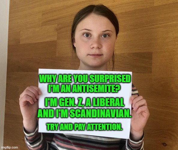 Our leader has fetal alcohol syndrome | WHY ARE YOU SURPRISED I'M AN ANTISEMITE? I'M GEN. Z, A LIBERAL AND I'M SCANDINAVIAN. TRY AND PAY ATTENTION. | image tagged in greta,democrats | made w/ Imgflip meme maker