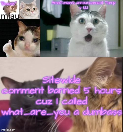 AmeTonian's announcement Temp v 1.2.1 | Sitewide comment banned 5 hours cuz I called what_are_you a dumbass | image tagged in ametonian's announcement temp v 1 2 1 | made w/ Imgflip meme maker