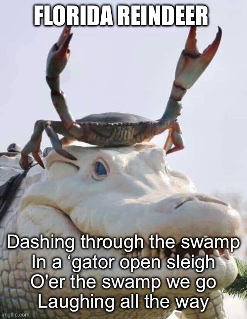 Florida jingle bells | FLORIDA REINDEER; Dashing through the swamp
In a ‘gator open sleigh
O'er the swamp we go
Laughing all the way | image tagged in florida reindeer,jingle bells,swamp,christmas | made w/ Imgflip meme maker