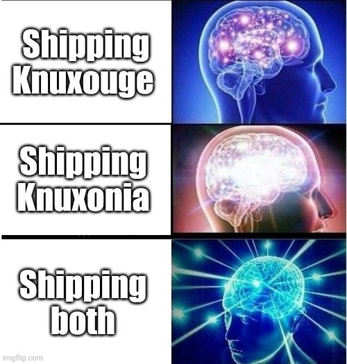 Expanding brain 3 panels | Shipping Knuxouge; Shipping Knuxonia; Shipping both | image tagged in expanding brain 3 panels | made w/ Imgflip meme maker