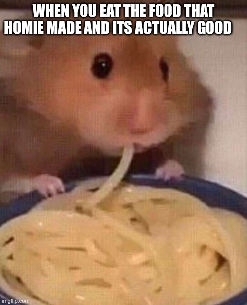 hamper | WHEN YOU EAT THE FOOD THAT HOMIE MADE AND ITS ACTUALLY GOOD | image tagged in hamter | made w/ Imgflip meme maker