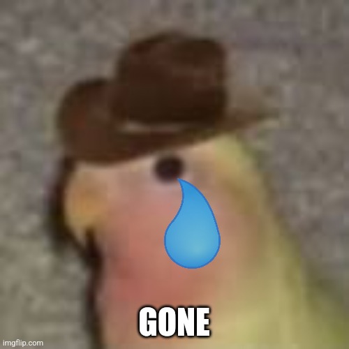 Gonb | GONE | image tagged in gonb | made w/ Imgflip meme maker