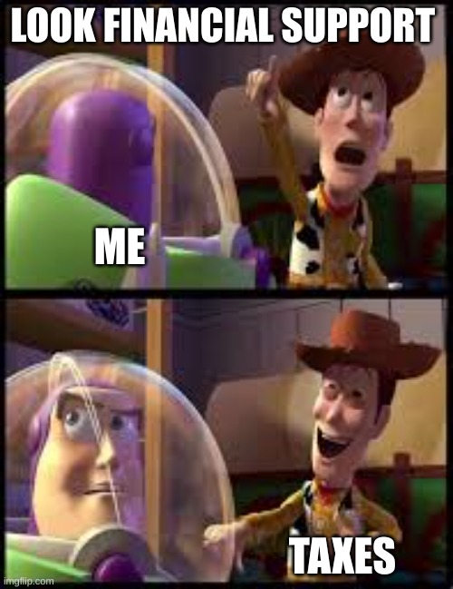 financial support | LOOK FINANCIAL SUPPORT; ME; TAXES | image tagged in funny,toy story | made w/ Imgflip meme maker