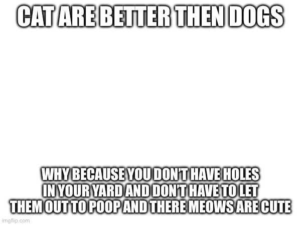 I love them | CAT ARE BETTER THEN DOGS; WHY BECAUSE YOU DON’T HAVE HOLES IN YOUR YARD AND DON’T HAVE TO LET THEM OUT TO POOP AND THERE MEOWS ARE CUTE | image tagged in cat,cats,facts | made w/ Imgflip meme maker