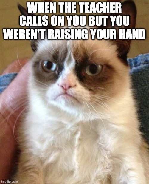 Grumpy Cat Meme | WHEN THE TEACHER CALLS ON YOU BUT YOU WEREN'T RAISING YOUR HAND | image tagged in memes,grumpy cat | made w/ Imgflip meme maker