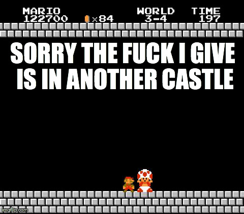 Thank You Mario | SORRY THE F**K I GIVE IS IN ANOTHER CASTLE | image tagged in thank you mario | made w/ Imgflip meme maker