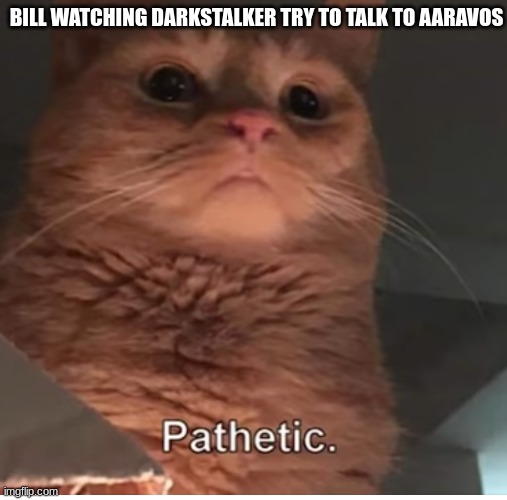 Pathetic cat gof | BILL WATCHING DARKSTALKER TRY TO TALK TO AARAVOS | image tagged in pathetic cat gof,villains | made w/ Imgflip meme maker