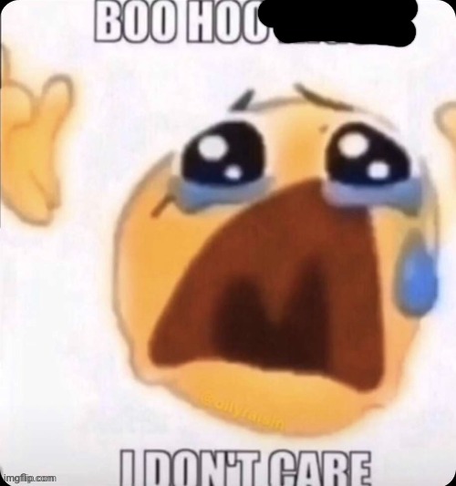 boo hoo I don't care | image tagged in boo hoo i don't care | made w/ Imgflip meme maker