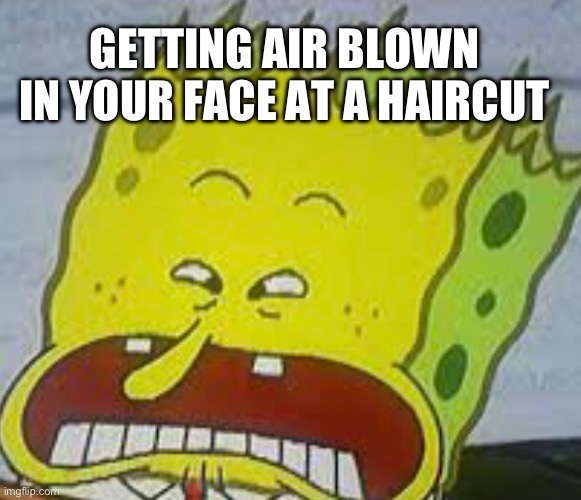 Haircuts | GETTING AIR BLOWN IN YOUR FACE AT A HAIRCUT | image tagged in barney will eat all of your delectable biscuits,haircut,spongebob,funny memes,lol so funny,funny | made w/ Imgflip meme maker
