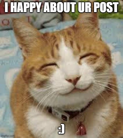 Happy cat | I HAPPY ABOUT UR POST; :) | image tagged in happy cat | made w/ Imgflip meme maker