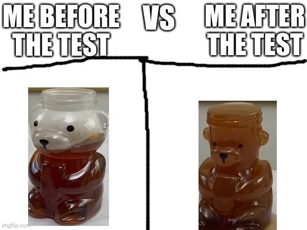 Test be like | ME BEFORE THE TEST; ME AFTER THE TEST; VS | image tagged in test | made w/ Imgflip meme maker