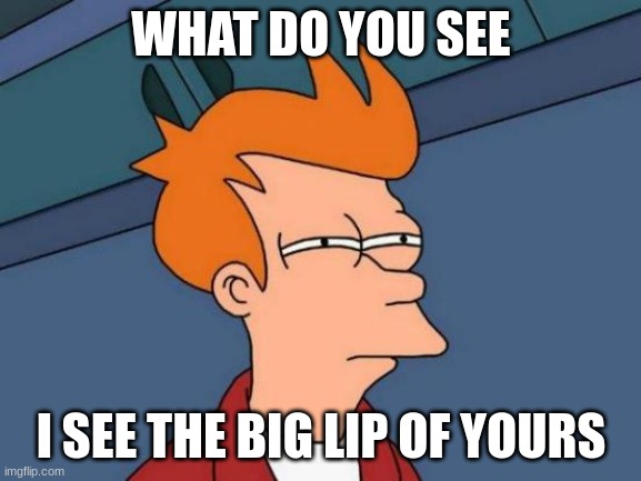Futurama Fry Meme | WHAT DO YOU SEE; I SEE THE BIG LIP OF YOURS | image tagged in memes,futurama fry | made w/ Imgflip meme maker