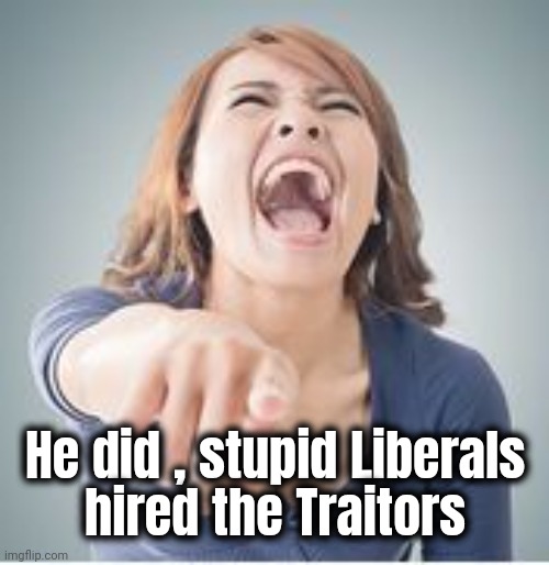 Laughing and pointing | He did , stupid Liberals
 hired the Traitors | image tagged in laughing and pointing | made w/ Imgflip meme maker