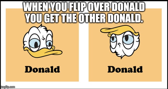 Pmurt dlanoD | WHEN YOU FLIP OVER DONALD YOU GET THE OTHER DONALD. | image tagged in you got the other donald,pmurt,trump | made w/ Imgflip meme maker