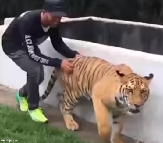 do it for the vine | made w/ Imgflip meme maker