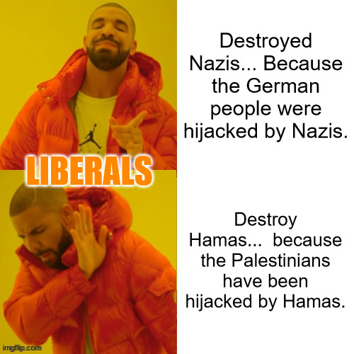 What do Nazis and Hamas have in common? They want the genocide of Jewish people... | Destroyed Nazis... Because the German people were hijacked by Nazis. LIBERALS; Destroy Hamas...  because the Palestinians have been hijacked by Hamas. | image tagged in stupid liberals,support,terrorists | made w/ Imgflip meme maker