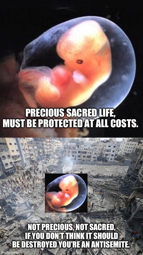 Controlling bodily autonomy always takes precedence over protecting life. Always. | PRECIOUS SACRED LIFE, MUST BE PROTECTED AT ALL COSTS. NOT PRECIOUS, NOT SACRED, IF YOU DON’T THINK IT SHOULD BE DESTROYED YOU’RE AN ANTISEMITE. | image tagged in israel,palestine,pro life,roe v wade,abortion | made w/ Imgflip meme maker