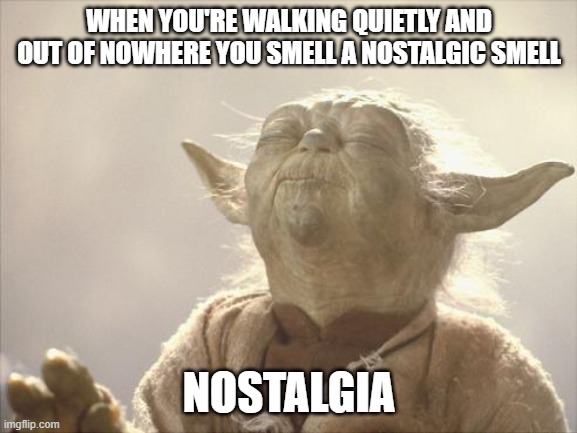 Experience | WHEN YOU'RE WALKING QUIETLY AND OUT OF NOWHERE YOU SMELL A NOSTALGIC SMELL; NOSTALGIA | image tagged in satisfied yoda | made w/ Imgflip meme maker