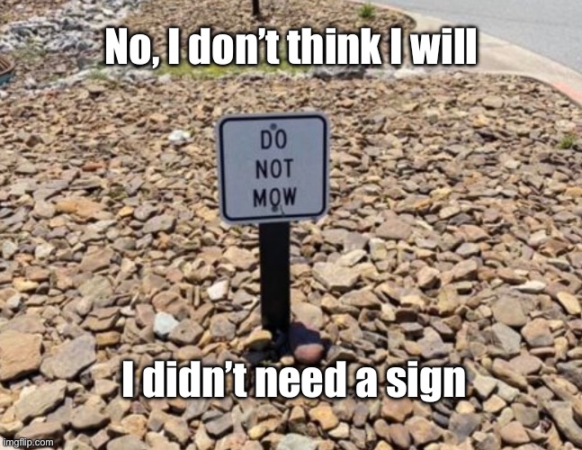 Do not mow | No, I don’t think I will; I didn’t need a sign | image tagged in no grass,i will not mow,no sign needed,one job | made w/ Imgflip meme maker