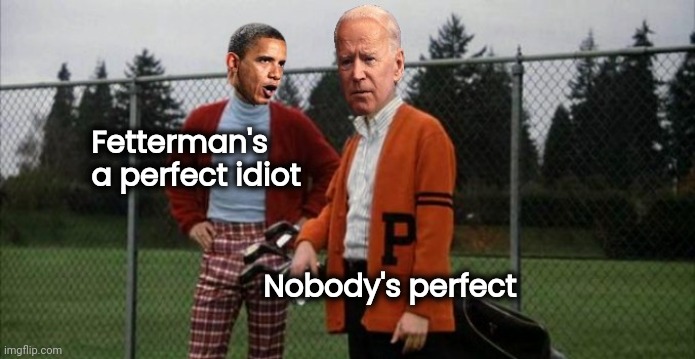 Democrats House | Fetterman's a perfect idiot Nobody's perfect | image tagged in democrats house | made w/ Imgflip meme maker