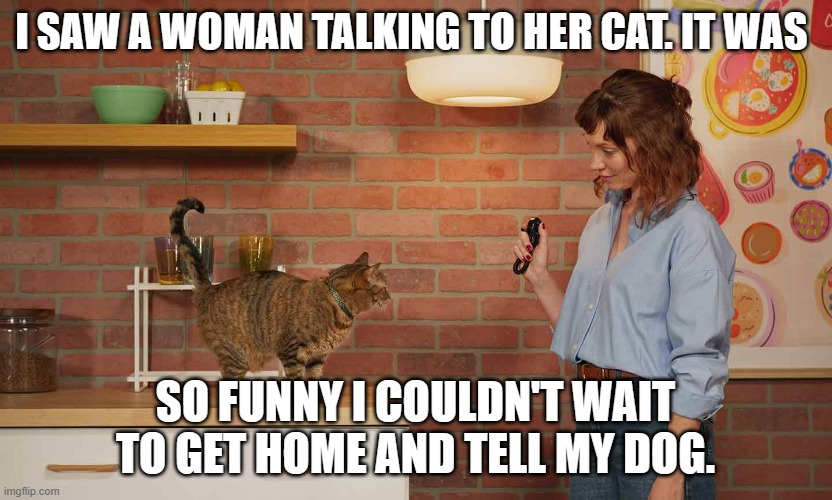 meme by Brad woman talking to her cat | I SAW A WOMAN TALKING TO HER CAT. IT WAS; SO FUNNY I COULDN'T WAIT TO GET HOME AND TELL MY DOG. | image tagged in cat meme | made w/ Imgflip meme maker