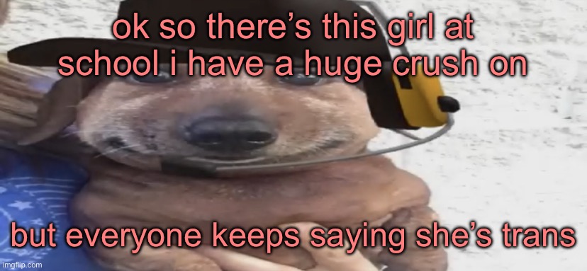 chucklenuts | ok so there’s this girl at school i have a huge crush on; but everyone keeps saying she’s trans | image tagged in chucklenuts | made w/ Imgflip meme maker