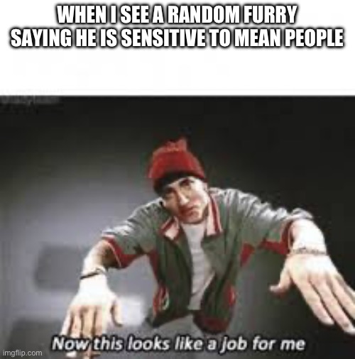 Yes | WHEN I SEE A RANDOM FURRY SAYING HE IS SENSITIVE TO MEAN PEOPLE | image tagged in without meme | made w/ Imgflip meme maker