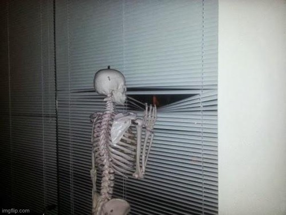Waiting Skeleton | image tagged in waiting skeleton | made w/ Imgflip meme maker