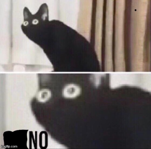 Oh no cat | image tagged in oh no cat | made w/ Imgflip meme maker
