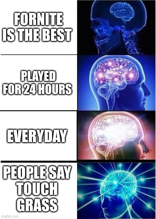 get a life | FORNITE IS THE BEST; PLAYED FOR 24 HOURS; EVERYDAY; PEOPLE SAY 
TOUCH 
GRASS | image tagged in memes,expanding brain | made w/ Imgflip meme maker
