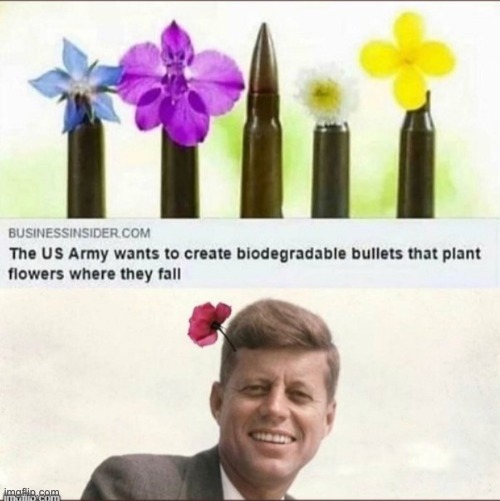 ☠️ litterally me AND jfk | image tagged in funny | made w/ Imgflip meme maker