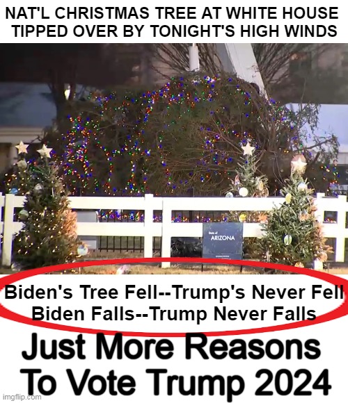 As If You Needed Any More Reasons . . . | NAT'L CHRISTMAS TREE AT WHITE HOUSE 
TIPPED OVER BY TONIGHT'S HIGH WINDS; Biden's Tree Fell--Trump's Never Fell
Biden Falls--Trump Never Falls; Just More Reasons 
To Vote Trump 2024 | image tagged in politics,falling down,help i've fallen and i can't get up,joe biden,donald trump,political humor | made w/ Imgflip meme maker