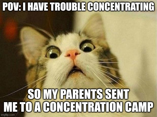 Scared Cat | POV: I HAVE TROUBLE CONCENTRATING; SO MY PARENTS SENT ME TO A CONCENTRATION CAMP | image tagged in memes,scared cat | made w/ Imgflip meme maker