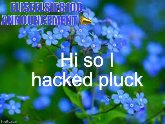 EliseElsie8100 Announcement | Hi so I hacked pluck | image tagged in eliseelsie8100 announcement | made w/ Imgflip meme maker