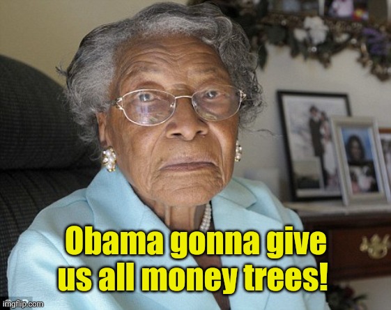 Old black lady | Obama gonna give us all money trees! | image tagged in old black lady | made w/ Imgflip meme maker