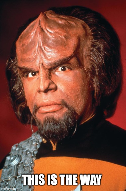 Mandorian Worf | THIS IS THE WAY | image tagged in lieutenant worf,this is the way | made w/ Imgflip meme maker